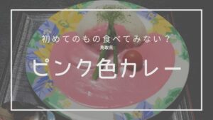 鳥取件　名物　ピンクカレー